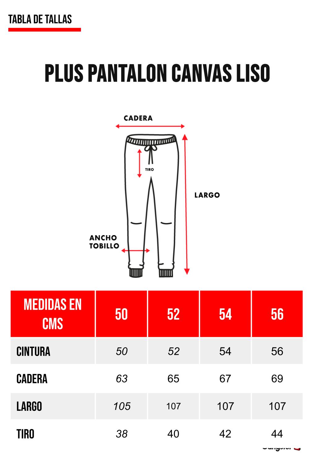 Plus Pantalon Canvas Liso Chester Gris