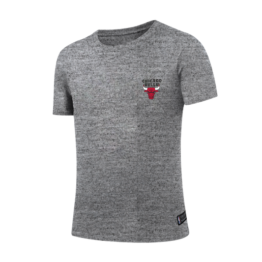 Polera NBA Chicago Bulls Windy Gris